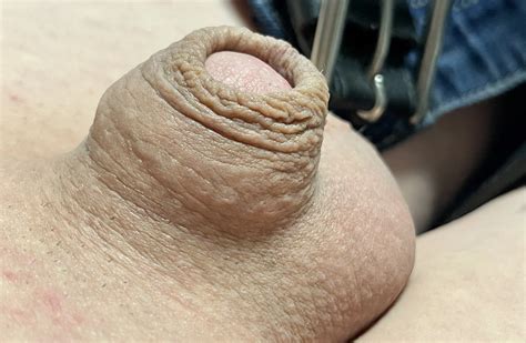 Tiny Micro Cock Nude Pics XHamster