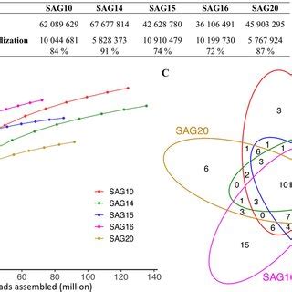 Genome Coverage And Alignment Of Contigs To Scaffold In The