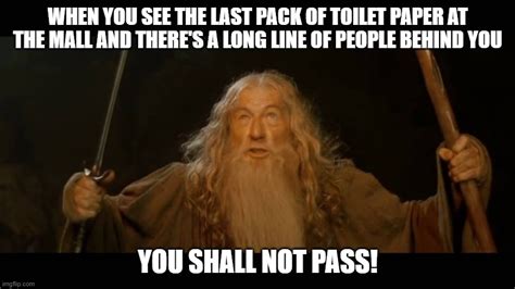 Gandalf You Shall Not Pass Meme - Meme Creator Funny Professor Gandalf You Shall Not Pass Meme ...