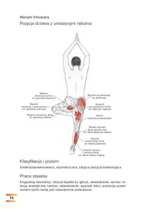 Joga Ilustrowany Przewodnik Anatomiczny Ksi Ka Najtaniej Opinie