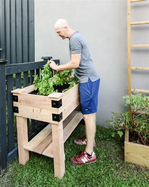 How to build a DIY elevated garden bed