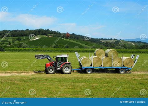 A Tractor With Its Trailer Loaded With Hay Bales Stock Photo Image Of