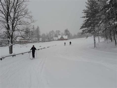 warunki na trasach biegowych pod Tatrami 04 01 2019 Biegówki w Zakopanem