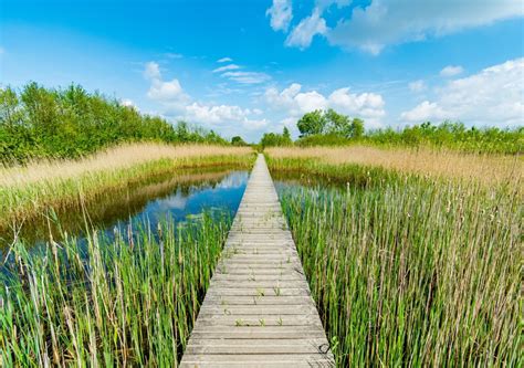 Natuurontwikkeling De Groene Grens Veenendaal Van De Haar Groep