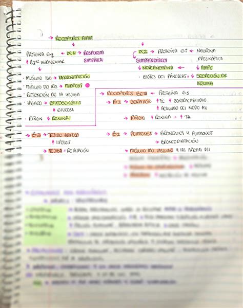 SOLUTION Farmacología del sistema nervioso Studypool