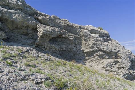 Fossilized Coral Deposits Stock Image Image Of Crimea 237310829