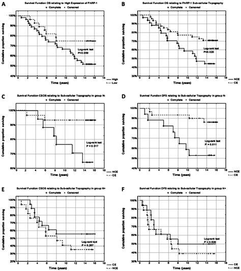 A Strong Parp 1 Expression Defined As Irs ≥6 Is Related P 0059 To Download Scientific