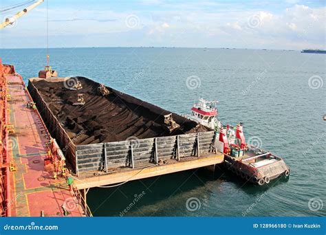 Loading Coal From Cargo Barges Onto A Bulk Carrier Using Ship Cranes