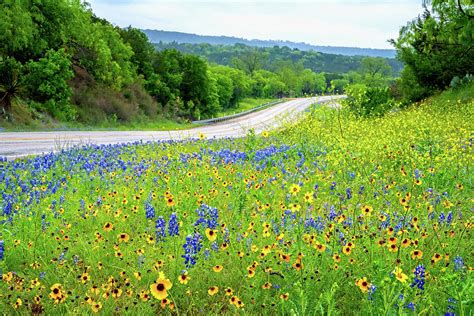 Spring On The Backroads Photograph By Lynn Bauer Fine Art America