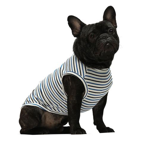 Striped Dog Shirt 2-Pack | Comfy & Stylish - Fitwarm
