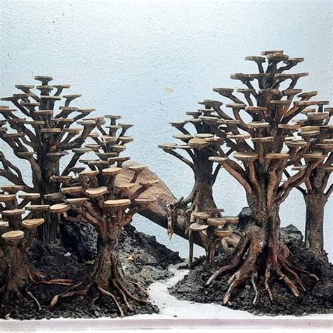 Drift Wood Bonsai Aquarium Aquascape Rock Decor Fish Tank Real Etsy