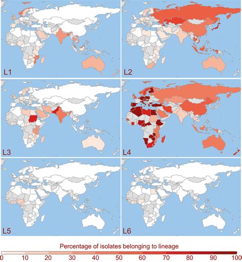 Lineage Specific Histories Of Mycobacterium Tuberculosis Dispersal In