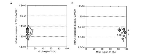 Lats2 Promoter Hypermethylation And Its Effect On Gene Expression In