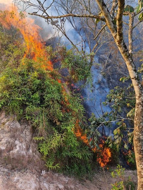 Los Incendios Forestales En Popayán Y Poblaciones Vecinas No Dan Tregua