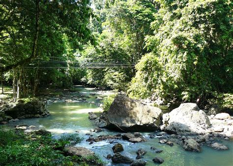 Visit Tabin Wildlife Reserve In Borneo Audley Travel