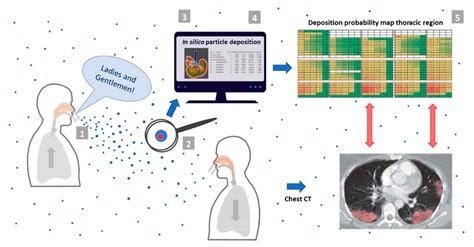 JPM Free Full Text SARS CoV 2 Laden Respiratory Aerosol Deposition