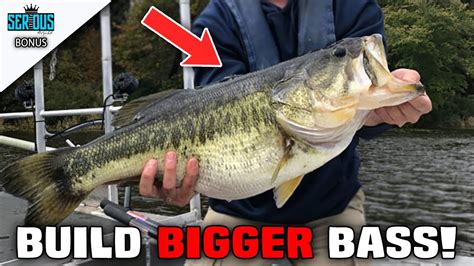 Fisheries Biologist On What F Largemouth Bass Are Why Theyre So