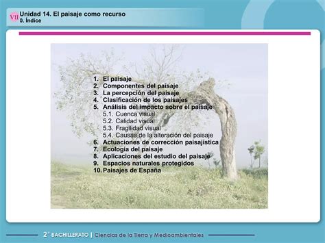 Tema 14 El Paisaje PPT