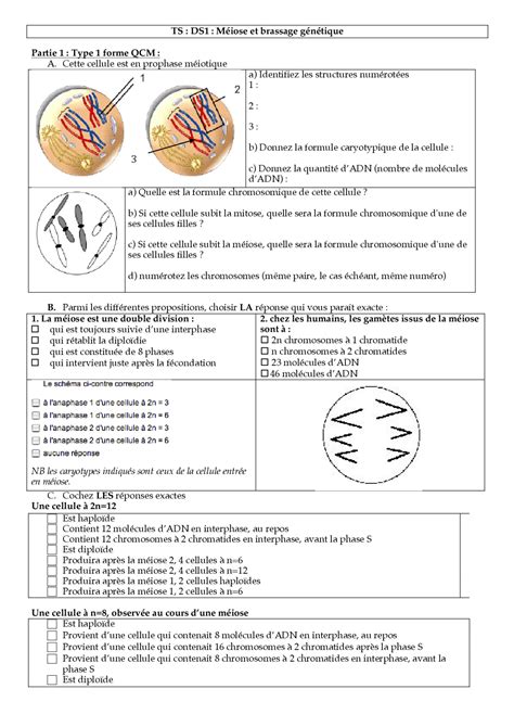 D Couvrir Imagen Formule Chromosomique Fr Thptnganamst Edu Vn