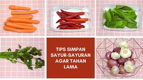 TIPS SIMPAN SAYUR AGAR TAHAN BERMINGGU BERBULAN Tips To Store