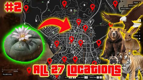 Gta 5 All 27 Peyote Plants Location Guide In Story Mode Xbox Pc Ps4 Ps5 Youtube