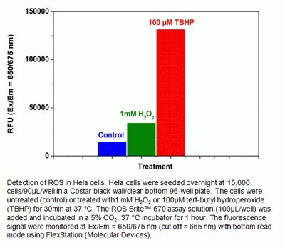 Cell Meter TM Fluorimetric Intracellular Total ROS Activity Assay Kit