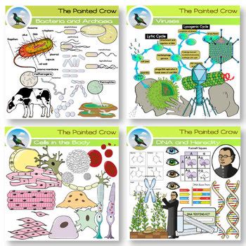 Cell Clip Art Mega Bundle - Biology - 270 Graphics by The Painted Crow