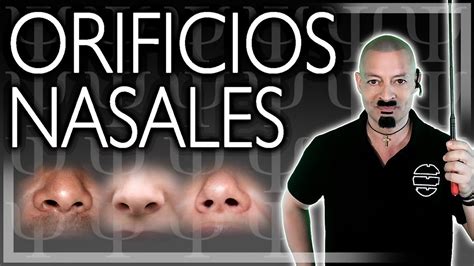 SIGNIFICADO DE LOS ORIFICIOS NASALES Morfopsicología y Fisiognomía