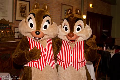 Dlp Feb Meeting Chip And Dale Disneyland Paris Fra Flickr