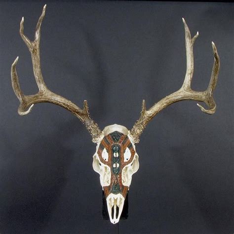 Beaded Deer Skulls Suzanne Schmaltz Medium Beaded Mule Deer Skull