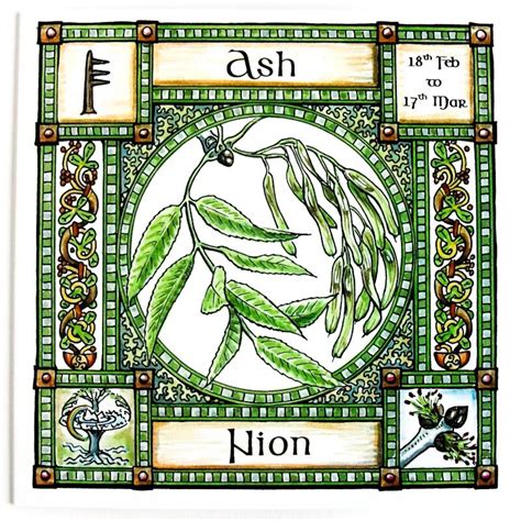 Ash Ogham Card — Opal Moon