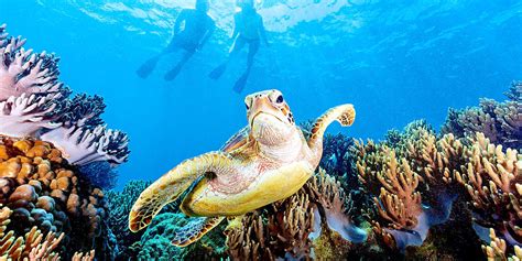 Ten Ways To See The Great Barrier Reef From Cairns Top Oz Tours