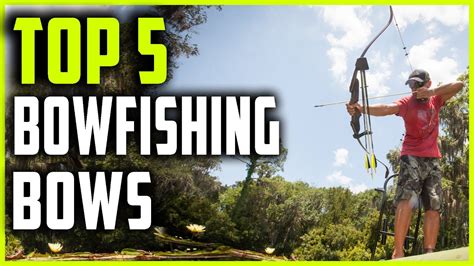 Best Bowfishing Bows Top Best Bows For Bowfishing Youtube