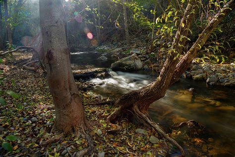 Feeling Special Photograph by Laurie Search - Fine Art America