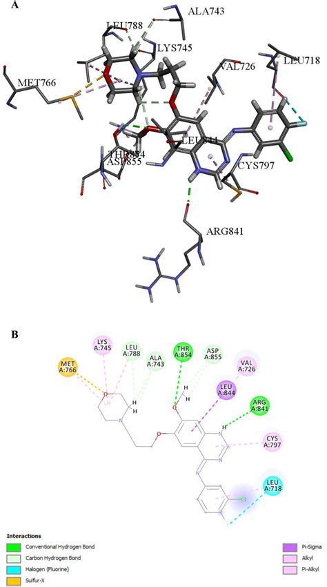 A B Binding Interaction Of Co Crystallized Ligand At The Active