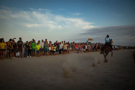 Horse running in the beach editorial stock image. Image of colorful ...