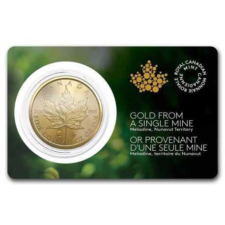 Gold Coin Maple Leaf Single Source 1 oz 2022