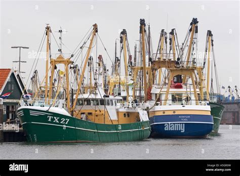 Fischkutter Stück Im Hafen Von Texel Einer Insel Der Niederlande