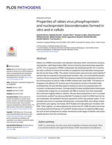 PDF Properties Of Rabies Virus Phosphoprotein And Nucleoprotein