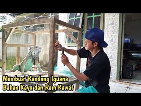 Membuat Kandang Iguana Dari Bahan Kayu Dab Ram Kawat Youtube