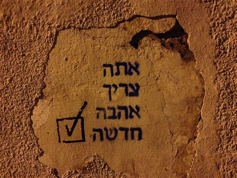 E.D | המשוטטת