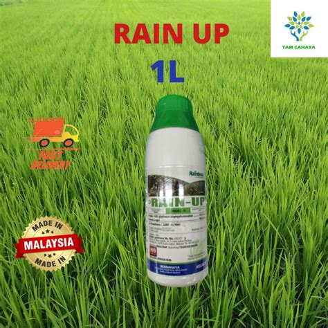 Rain Up Liter Glyphosate Sama Dengan Ecomax Ken Up Roundup Eb Gly