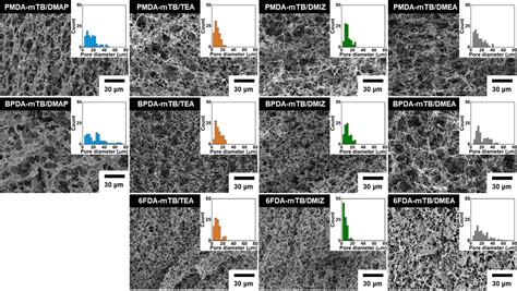 Highly Macroporous Polyimide With Chemical Versatility Prepared From