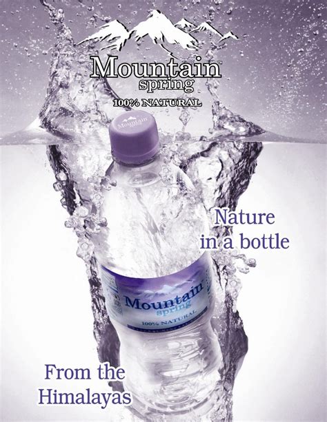 Mountain Spring Mineral water at best price in New Delhi by Mount ...