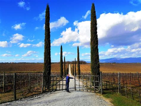 Private Tuscany Wine Tours and Tastings with Sommelier