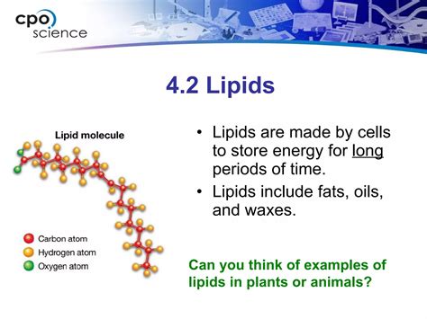 Organic Molecules | PPT