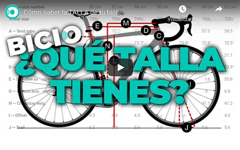 C Mo Saber La Talla De Bicicleta Gu A Para Una Correcta Elecci N