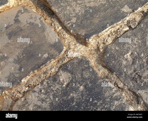 Street Paved With Gold Stock Photo Alamy