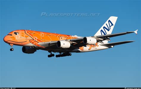 JA383A All Nippon Airways Airbus A380 841 Photo By Heluxiaozhu ID