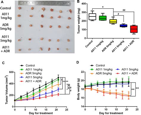 Frontiers Novel Sigma Receptor Ligand A Overcomes Mdr In